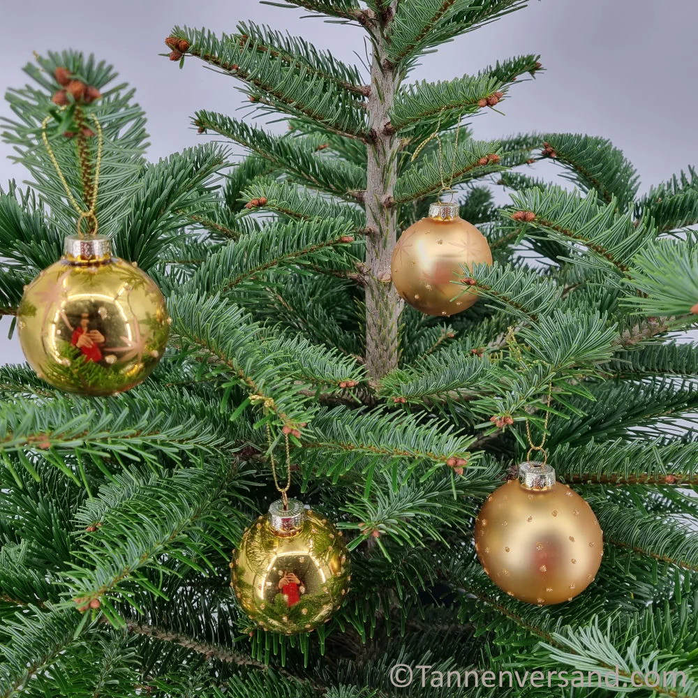 Weihnachtskugel aus Glas Gold 6 cm 12er Set - Image 2