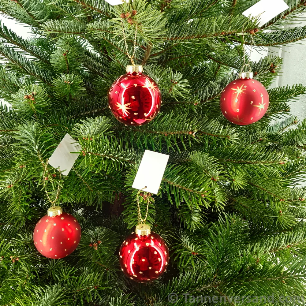 Weihnachtskugel aus Glas Rot Gold 6 cm 12er Set - Image 2