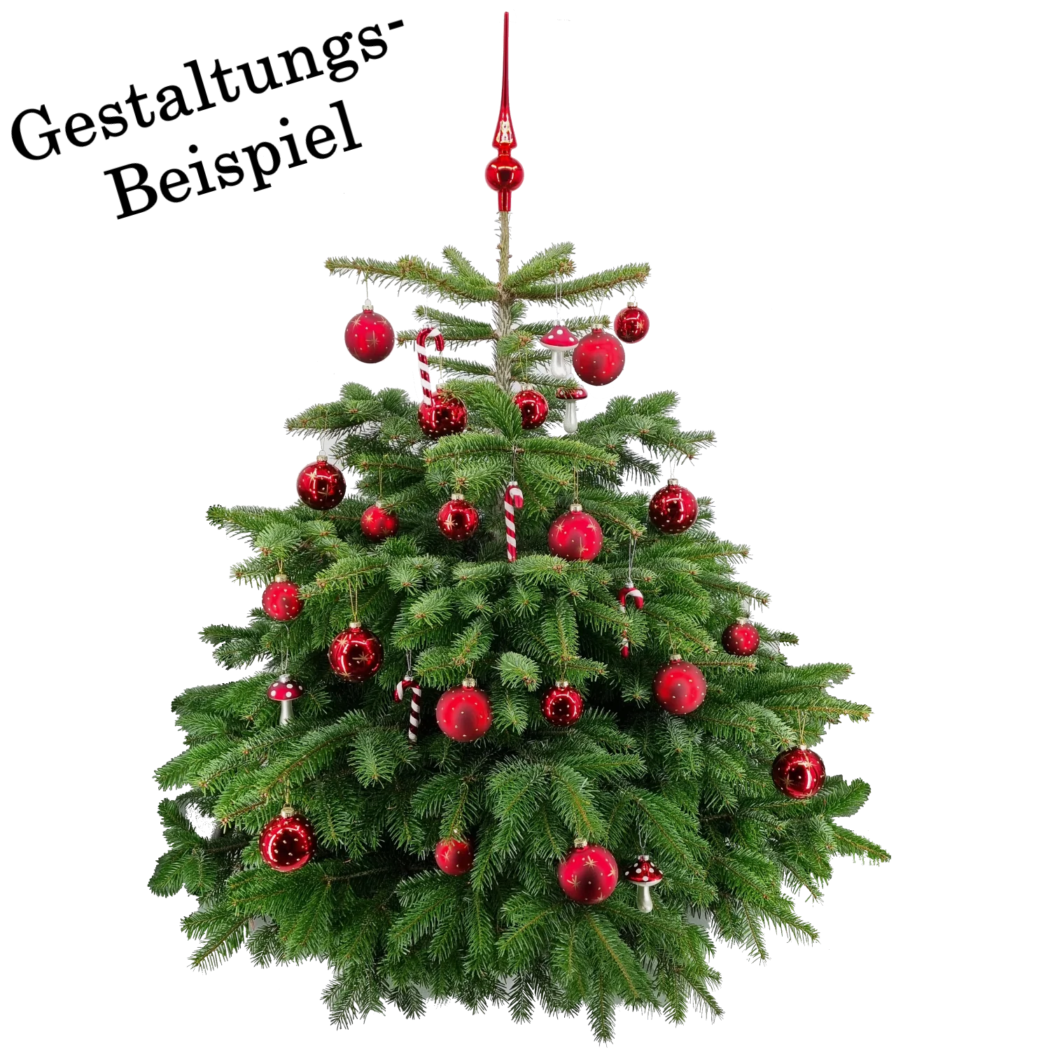 Weihnachtskugel aus Glas Rot Gold 6 cm 12er Set - Image 3