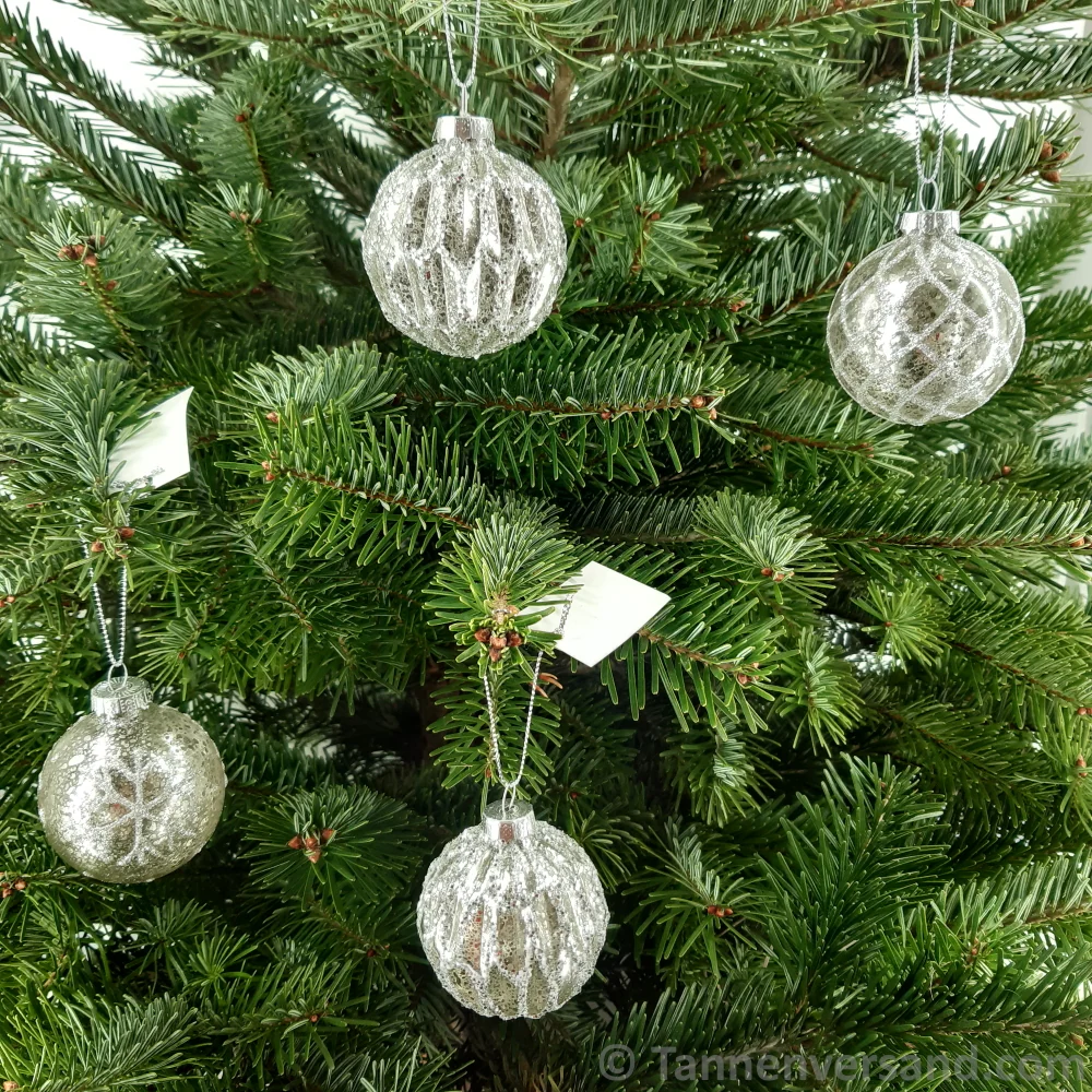 Weihnachtskugel aus Glas Silber 6 cm 12er Set - Image 2